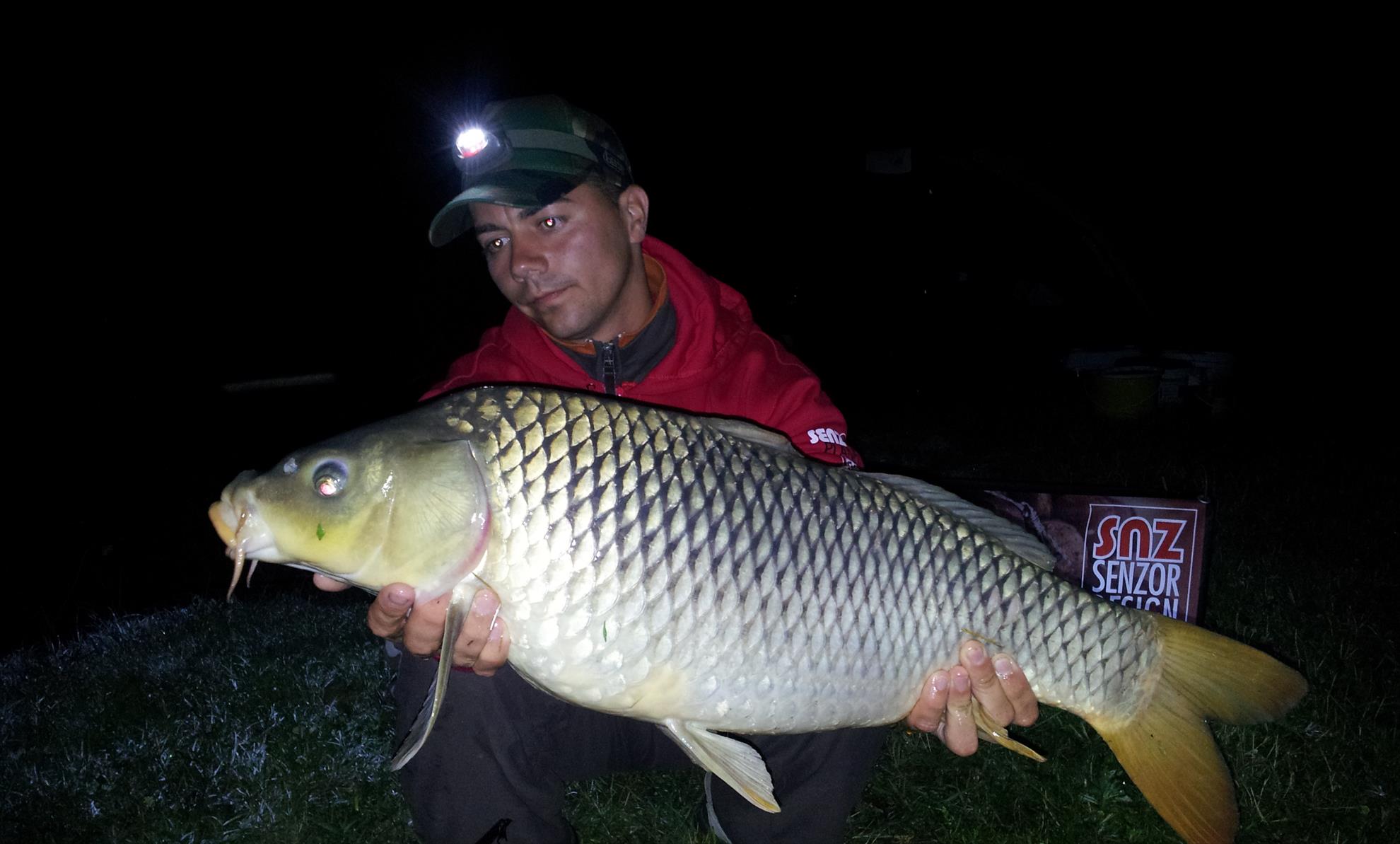 Silver  Ungaria 17 - 18 iul. - 20130718014955.jpg